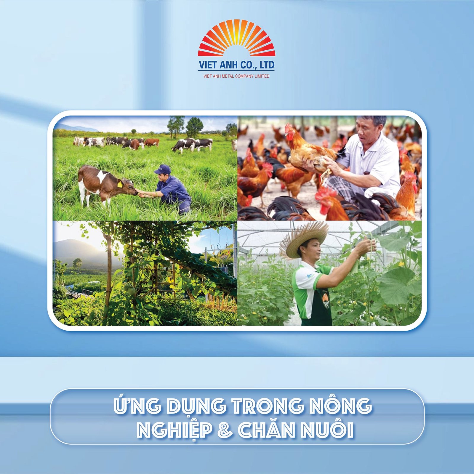 Ứng dụng bồn bể nox trong chăn nuôi nông nghiệp